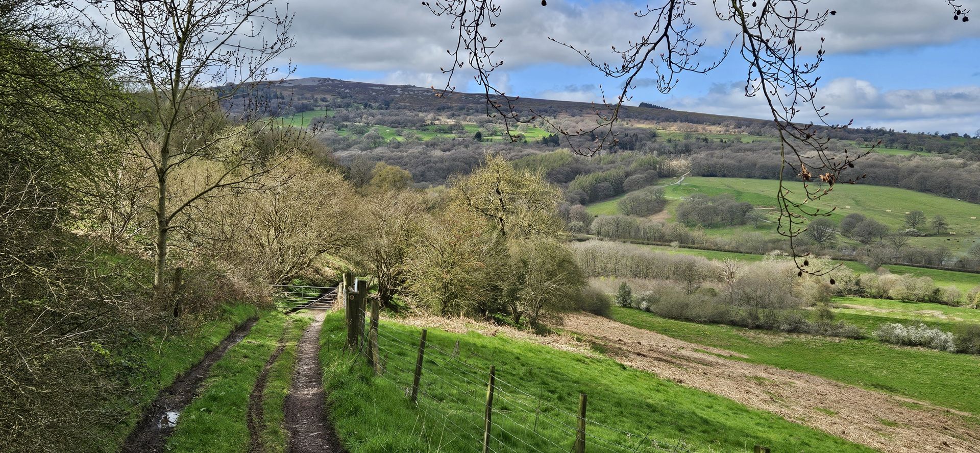Pulverbatch Bridleway View